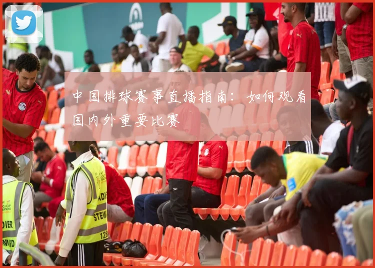 中国排球赛事直播指南:如何观看国内外重要比赛